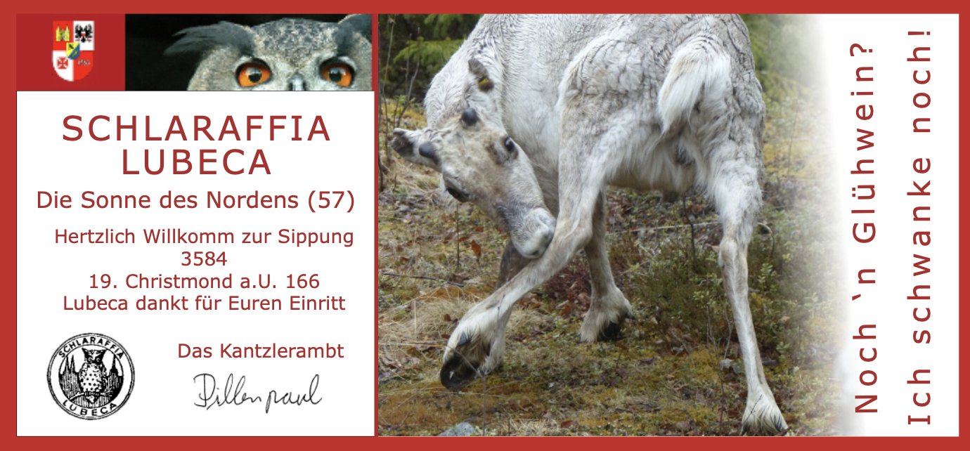 3584: Noch `n Glühwein? - Ich schwanke noch!